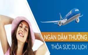 Vé máy bay đi Quy Nhơn đường Trần Bình Trọng quận 5