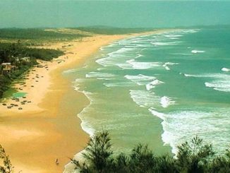 ve-may-bay-gia-re-ben-xe-mien-tay-e37a6