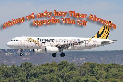 Tiger airways 3jun13