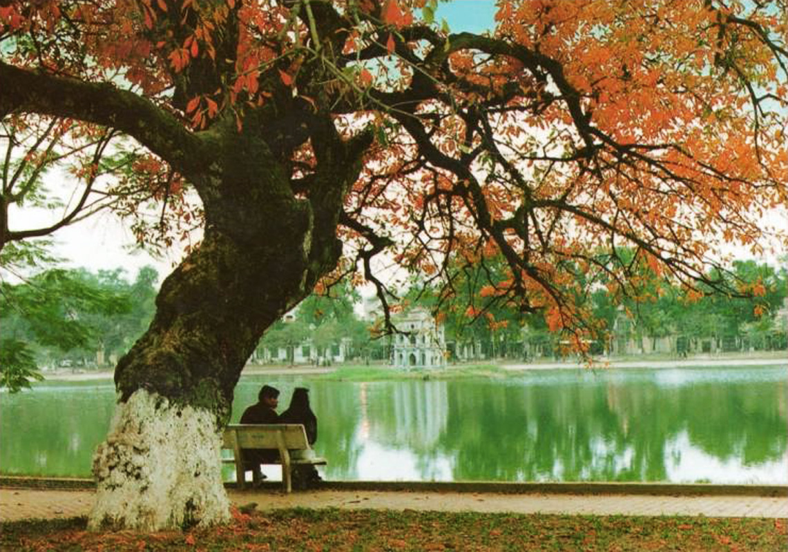 Vé máy bay đi Hà Nội đường Lạc Long Quân quận Tân Bình 1 Vé máy bay đi Hà Nội đường Lạc Long Quân quận Tân Bình