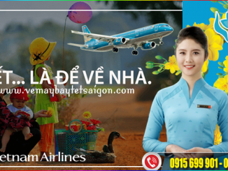 tet vietnam airlines