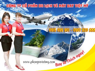 Đại lý vé máy bay cấp 1 Việt Mỹ