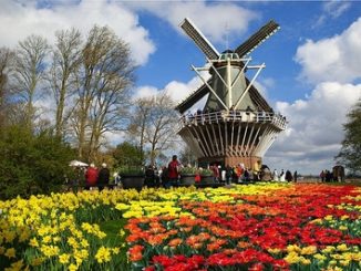 ha lan vuon hoa keukenhof 25no