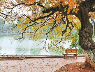 Vé máy bay đi Hà Nội đường Ung Văn Khiêm