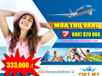 Bán vé máy bay giá rẻ tại Chợ Bình Điền quận 8