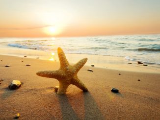 Vé máy bay giá rẻ đường Lý Chiêu Hoàng Quận 6