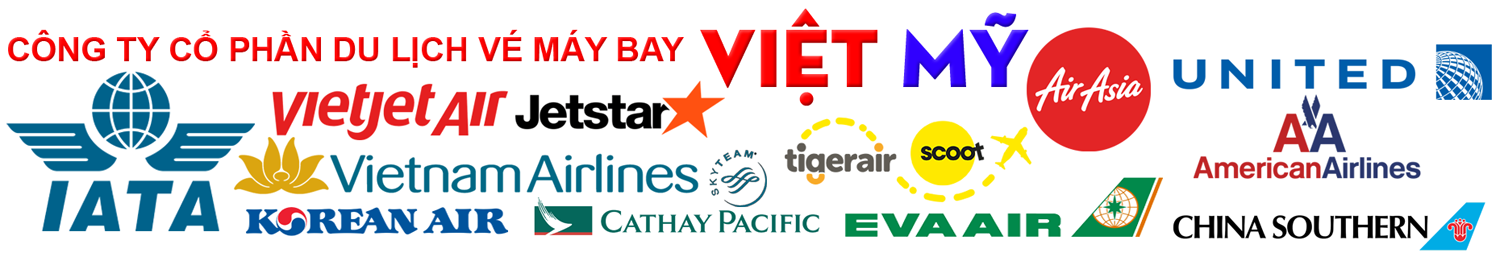 thông tin công ty Việt Mỹ