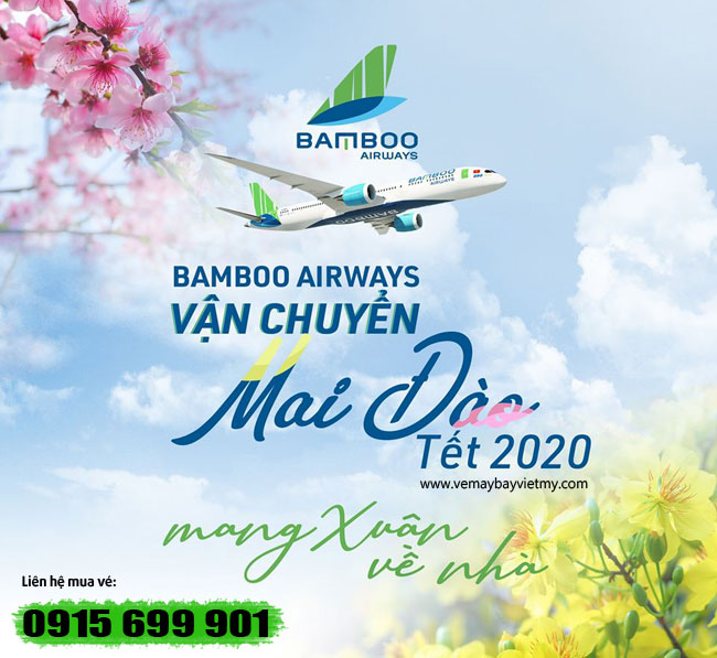 Bamboo Airways vận chuyển mai đào Tết