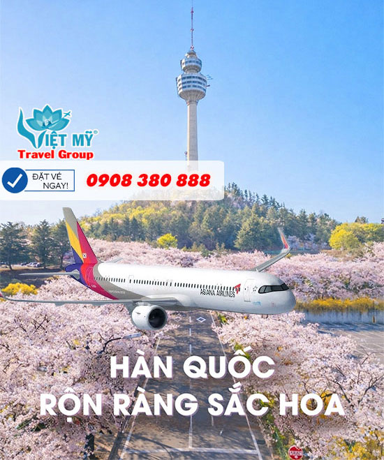 Asiana Airlines ưu đãi 7% giá vé đi Hàn Quốc mùa hoa anh đào 2 Asiana Airlines ưu đãi 7% giá vé đi Hàn Quốc mùa hoa anh đào